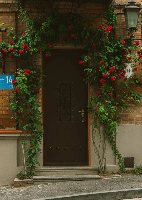 A grid display of various movie and show thumbnails available for streaming